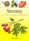 Obrázok - Stromy