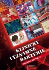 Obrázok - Klinicky významné bakterie