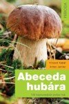 Obrázok - Abeceda hubára