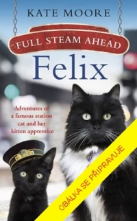 Kniha - Felix, plnou parou vpřed