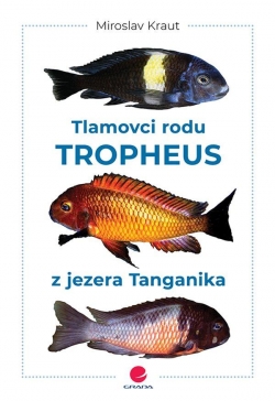 Obrázok - Tlamovci rodu Tropheus z jezera Tanganik