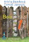 Kniha - Bola raz jedna trieda (a iné triedy)