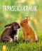 Kniha - Trpasličí králik - Ako na to  2 vyd.