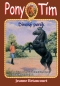 Kniha - Divoký poník (Pony tím 9)