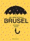 Kniha - Jak jsem potkala Brusel