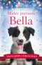 Kniha - Malér jménem Bella