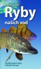 Kniha - Ryby našich vod - Sladkovodní ryby střed