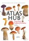 Kniha - Atlas hub