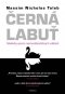 Kniha - Černá labuť